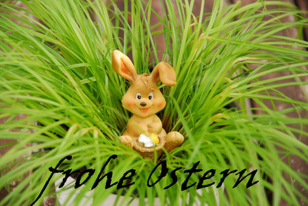 Easter bunny in the grass
