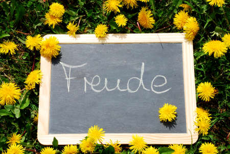 Slate in the grass with inscription joyの写真素材