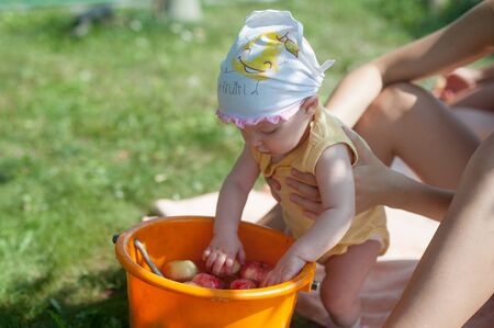 Little baby with a bucket of apples in garden.  Child picking apples on a farm in summer. Little baby girl playing in apple tree orchard. Outdoor fun for children. Healthy nutritionの写真素材