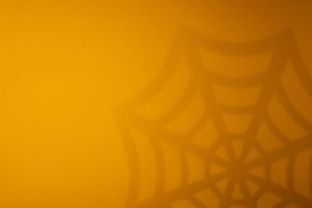 Orange halloween background with shadow of spiderweb.の写真素材