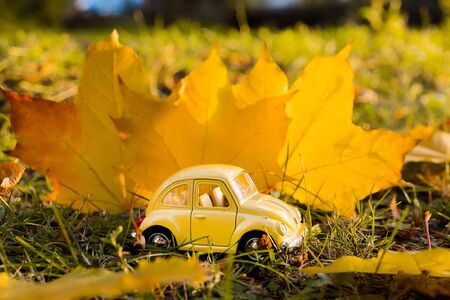 Omsk, Russia - September 1, 2019: Yellow retro toy car on autumn maple leaf background.のeditorial素材