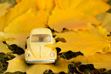 Omsk, Russia - September 1, 2019: Yellow retro toy car on autumn maple leaf background. Autumn...