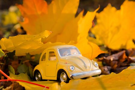 Omsk, Russia - September 1, 2019: Yellow retro toy car on autumn maple leaf background. Autumn travel and vacation concept.Taxiのeditorial素材