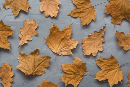 Autumn composition. Pattern made of autumn leaves on dark gray concrete background. Flat lay, top...