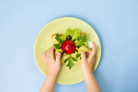 Fun food art for kids. Children's hands hold plate with ladybug sandwich on blue background. How to make creative breakfast for kid at home. Step by step instruction, view from above.の写真素材