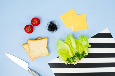 Fun food art for kids. Ladybug sandwich on blue background. How to make creative breakfast for kid at home. Step by step instruction, view from above. Step 1. Food Set.の写真素材