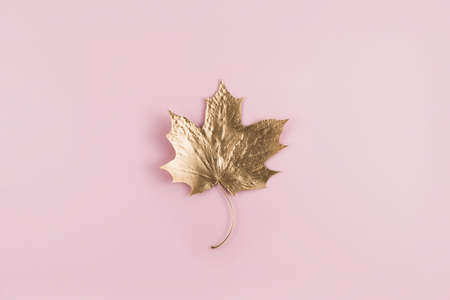 Shiny Golden marple leaf on nude pink color background. Flat lay, top view. Minimal autumn composition concept.の写真素材