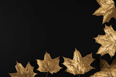 Autumn composition. Frame made of autumn golden maple leaves on black background. Flat lay, top view, copy spaceの写真素材