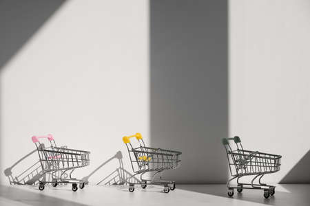 Shopping carts isolated on white background. Safe online shopping on quarantine concept. Empty supermarket shopping trolleys with copy space. Social distance conceptの写真素材