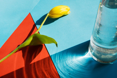 Yellow tulip on abstract red blue background. Bright daylight beam, glare. Spring concept. Mothers...