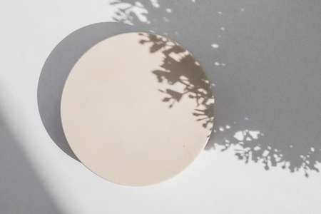 Abstract minimal scene with geometrical form. Cylinder podium on white background with floral shadow. Abstract background. Scene to show cosmetic podructs. Showcase, display case. 3d render.の写真素材