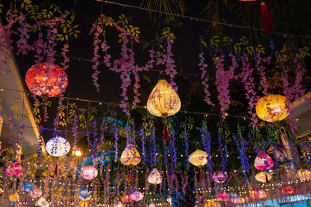 Colorful Lanterns and Vibrant Flowers Decorate the Space Under a Beautiful Night Skyの写真素材