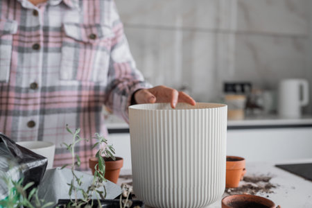 Exploring Indoor Planting in a Modern Kitchen Environment for an Elegant Aesthetic Spaceの写真素材