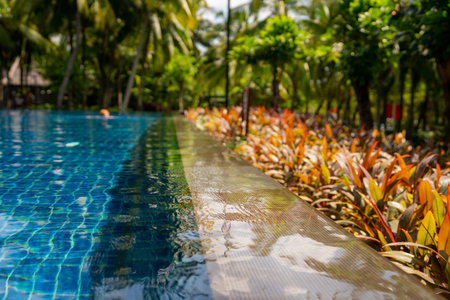 A Beautiful Tropical Poolside Oasis Surrounded by Lush Greenery and Vibrant Foliage