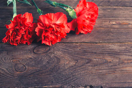 Three red carnations on a dark wooden background. Holiday card for the holiday of May 9.の写真素材