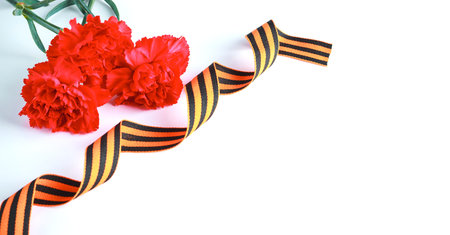 Three red carnation flowers and St. George's ribbon in the upper left corner on a white background....