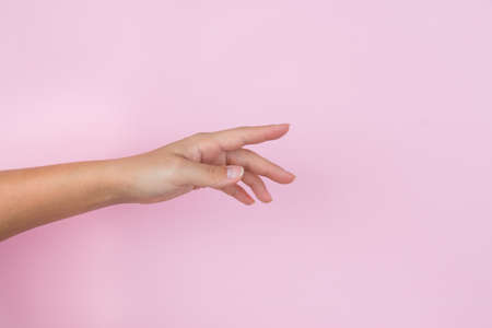 Elegant female hand with an empty palm down on a pink pastel background.の写真素材