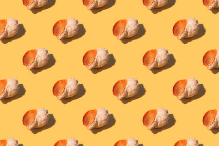 Seamless regular pattern with seashells on a yellow background. hard light. Summer vacation and travel concept.の写真素材