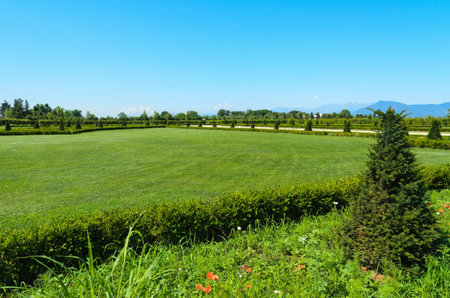 Savoy Palace of Venariaの写真素材