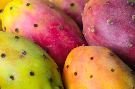 Prickly pearの写真素材