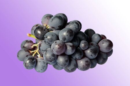 Bunch of grapesの写真素材