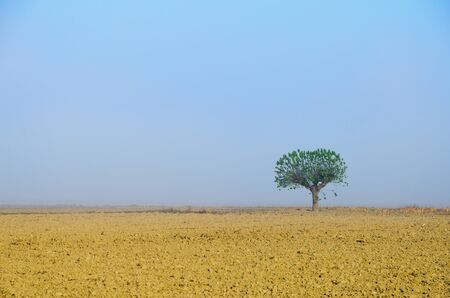 Solitudeの写真素材