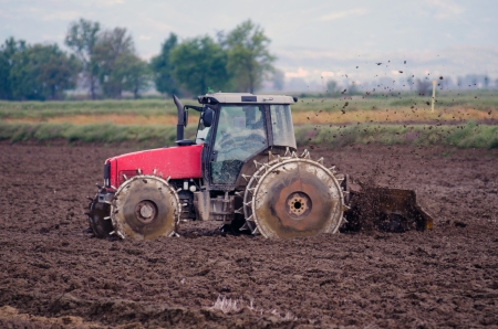 Rice fields - Preparation for sowingの写真素材