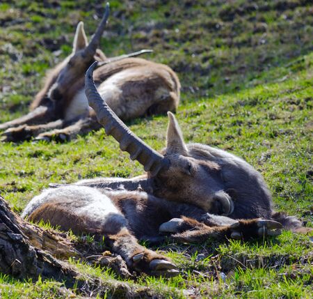 Photoerickの写真素材