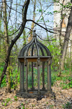 Birdcageの写真素材
