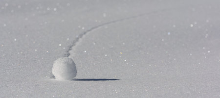Snowballの写真素材