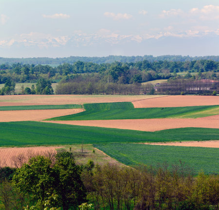 The Lands of Pianalto between Santena and Poirino - Piedmont - Italy