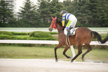 competitive horse racing in heavy sandstorm.の写真素材