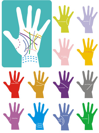 The secrets of Chiromancy. Colours contours on palm. Isolated on white background.のイラスト素材
