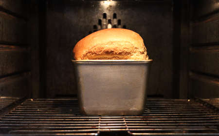 Baking bread in an electric home oven.の写真素材