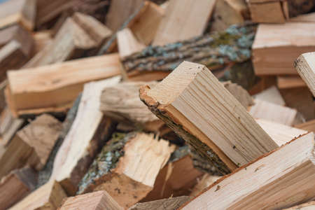 Sawed and chopped oak wood firewood for heating in the stove.の写真素材