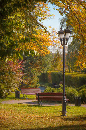 Landscape of an autumn park with a night lamp.の写真素材