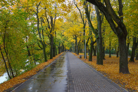 City landscape, park in the autumn season.