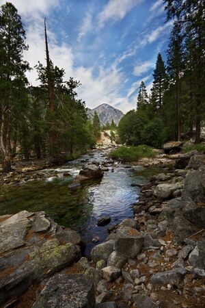 Landscape shot in Sequoia and Kings Canyon National Park California の写真素材