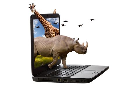 Rhinoceros, giraffe, squirrel and birds coming out of a laptop screen isolated on a white background の写真素材