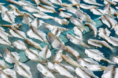 fish processing by drying allows for long-term storageの写真素材