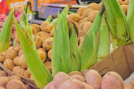 Natural corn cobs surrounded by potatoes and a cardboard box