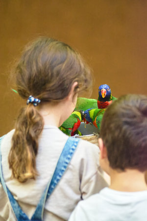 Unrecognizable boy and girl looking at some very colorful parrots