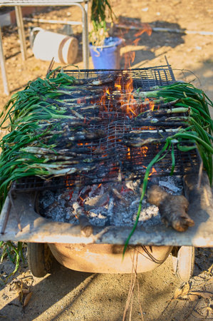 Green vegetable calsots roasted over charcoal, perfect for a healthy meal.