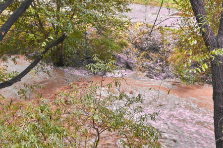 A tranquil creek flows through a forest, surrounded by vibrant green leaves and autumn hues.