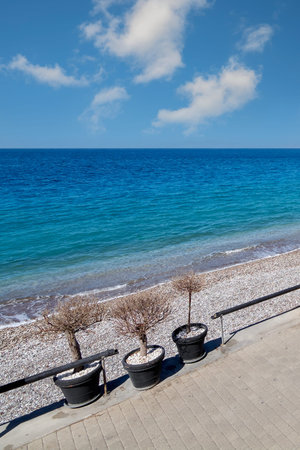 Inviting coastal scene with potted plants providing a foreground, leading the eye to the expansive,...