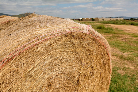 Close-up of a hay bale in a field under a cloudy sky, with a hint of nearby mountains and farms in...