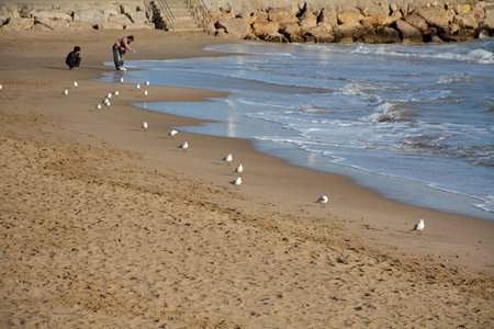 Sitges. Spain - February 10, 2026: People enjoy a winter walk along the shoreline as seagulls gather near gentle waves, reflecting everyday coastal leisure, calm atmosphere, and social outdoor activity.のeditorial素材