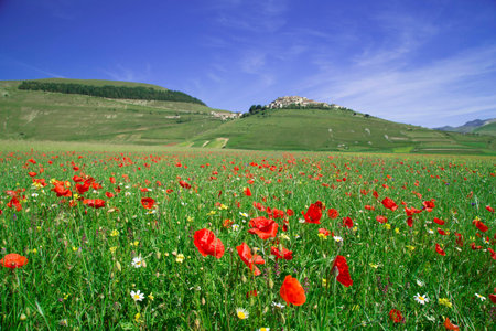 Stunning view in Castelluccio di Norciaの写真素材