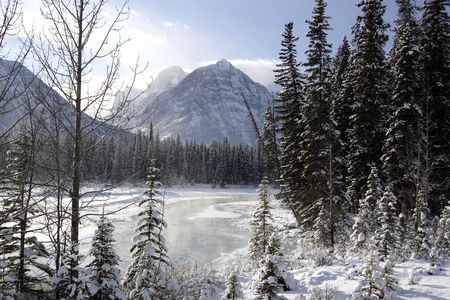 Athabasca River in Jasper National Park.の写真素材