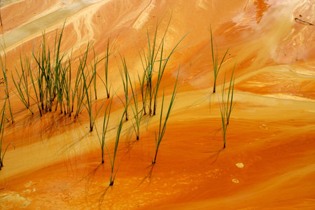 Ocher paint pots in Kootenay National Park.の写真素材